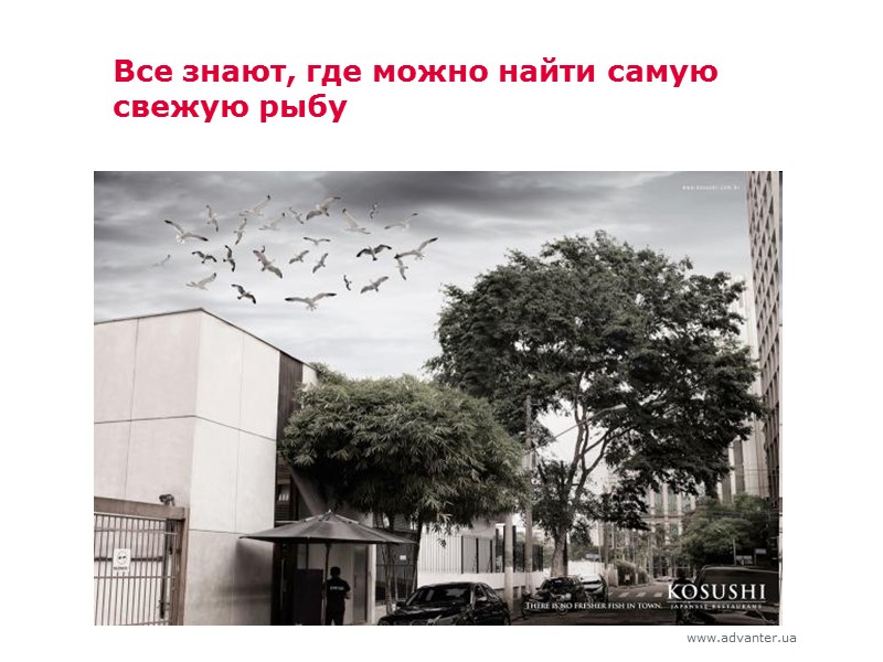 Все знают, где можно найти самую свежую рыбу